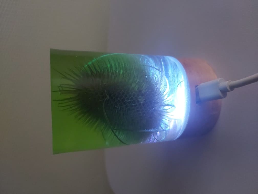 Šviestuvas žalias spygliuotis lempos žibintai LED USB epoksidas